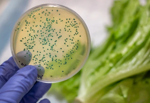 Contaminated Food or Water_ The Main Sources of Infection Contaminated Food or Water_ The Main Sources of Infection
