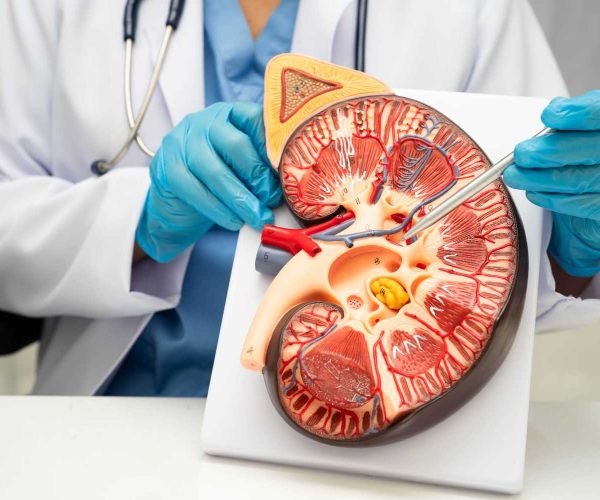 hematuria causes hematuria causes